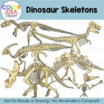 Preview of Dinosaurs Skeletons