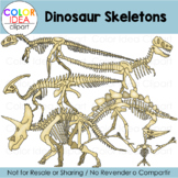 Dinosaurs Skeletons