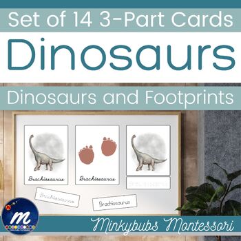 Preview of Dinosaurs and Footprints 3 Part Cards Montessori Classification Matching Memory