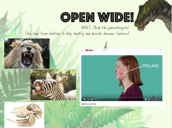 Preview of Dinosaurs and More - Powerpoint to accompany Primary Connections unit