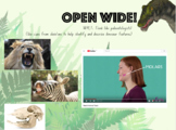 Dinosaurs and More - Powerpoint to accompany Primary Conne