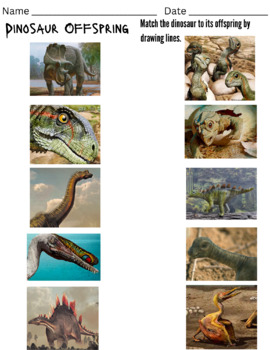 Preview of Dinosaurs and their Offspring