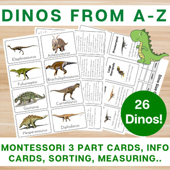 Preview of Dinosaurs from A-Z /Montessori 3 Part Cards/Info Cards/Dino Sorting/Activity