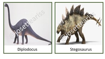 Preview of Dinsosaur Herbivore vs Carnivore Montessori cards