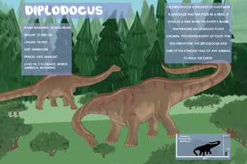 Preview of Diplodocus - Dinosaur Poster & Handout