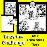 Art Lesson - Directed Drawing Challenge: Series 9 Tigers
