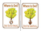 Directional Activity- Owls