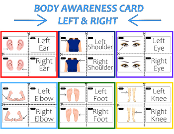 Preview of Directional Left & Right Body Parts Awareness Flash Cards- Directionality Label