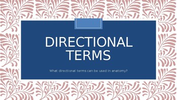 Preview of Directional Terminology PowerPoint (Anatomy and Physiology)