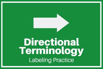 Preview of Directional Terminology Practice