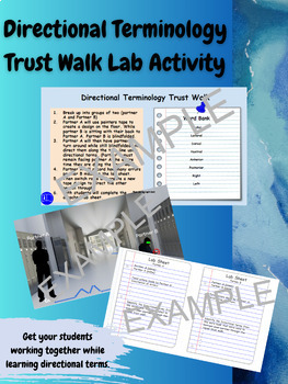 Preview of Directional Terminology Trust Walk - Lab Activity