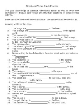 Preview of Directional Terms Quick Practice