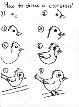 Preview of Directions to Draw a Cardinal Bird
