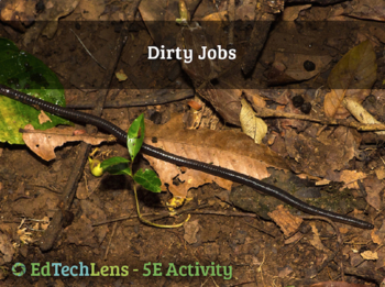 Preview of Dirty jobs - Decomposition, Cycles of Matter and Energy - Home User Activity