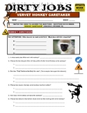 Dirty Jobs : Monkey Caretaker (science animals career vide