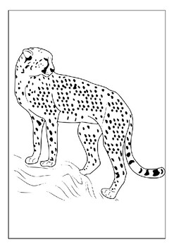 running cheetah coloring pages