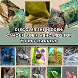 Discover the Hidden, Camouflage Flashcards for Young Learners
