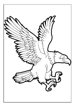 Eagle Coloring Book For Kids Ages 4-8 : Eagle Coloring Book For