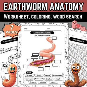 Discovering Earthworm Anatomy: Educational Diagram and Labeling Worksheet