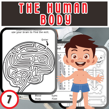Preview of Discovering the Human Body: 7 Fun and Educational Printable Worksheets for Kids