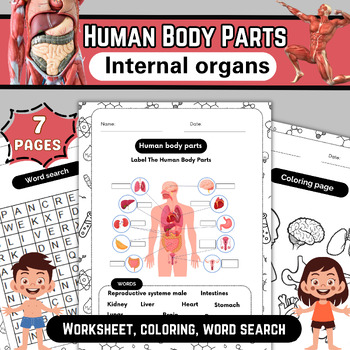 Discovering the Human Body : Educational Worksheets for Exploring Vital ...