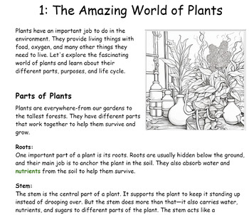 Preview of Discovering the Wonderful World of Plants: A Science Workbook for 3rd Grade