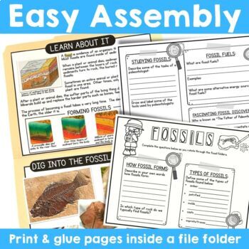Science File Folder Centers: Fossils (how fossils form, types of ...
