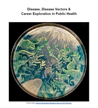 Preview of Disease, Disease Vectors & Career Exploration in Public Health
