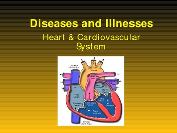 Diseases and Illnesses of the Circulatory / Cardiovascular System