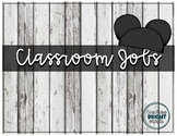 Disney Character Inspired Classroom Jobs