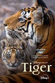 Preview of Disney Nature's Tiger