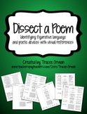 Dissect a Poem: Complete Anatomy of Poem Activity EDITABLE
