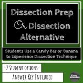 Dissection Alternative or Prep for Dissection: Dissect a B