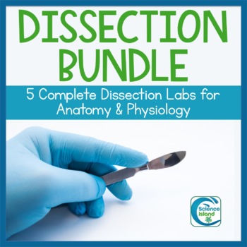 Preview of Dissection Bundle for Anatomy: Fetal Pig and Sheep Heart, Brain, Kidney and Eye