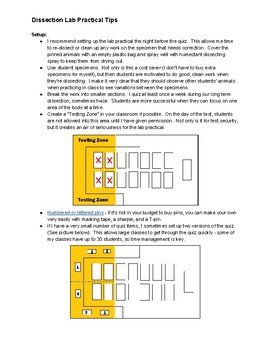 Preview of Dissection Lab Practical Tips