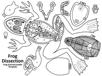 Scienstructable 3D Dissection Models Bundle - Vertebrate & Invertebrate  Animals