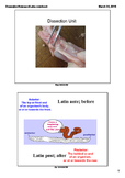 Dissection Notes and Chicken Wing and Pickle Dissection LABS