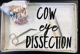 Dissection Video Tutorial Bundle (Cow Eye, Sheep Brain, Fe