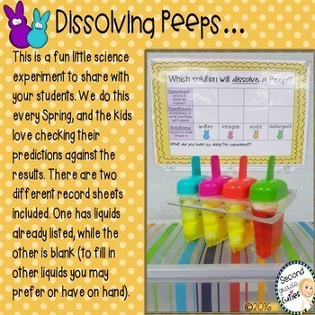 Preview of Dissolving PEEPS Science, Alliterations, & Bunny Craftivity too