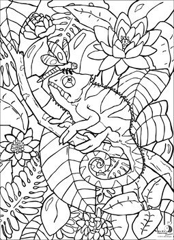 distance activity reptile coloring page chameleon environment simple