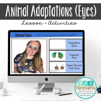 Preview of Distance Learning Animal Adaptations - Eyes - Project, Lesson, Activities 