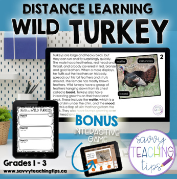 Preview of Distance Learning Animal Research  WILD TURKEY
