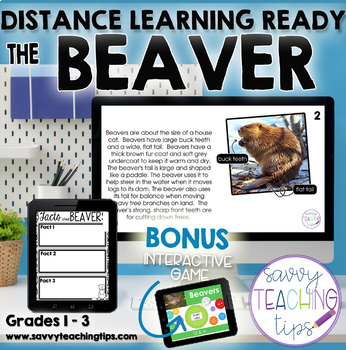 Preview of Distance Learning Animal Research  the BEAVER