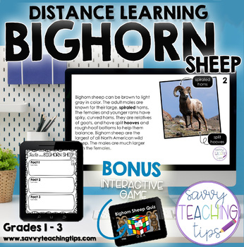 Preview of Distance Learning Animal Research  the BIGHORN SHEEP