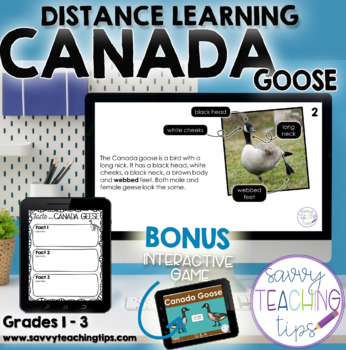 Preview of Distance Learning Animal Research  the CANADA GOOSE