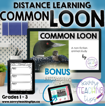 Preview of Distance Learning Animal Research  the COMMON LOON