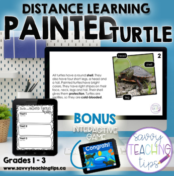 Preview of Distance Learning Animal Research  the PAINTED TURTLE