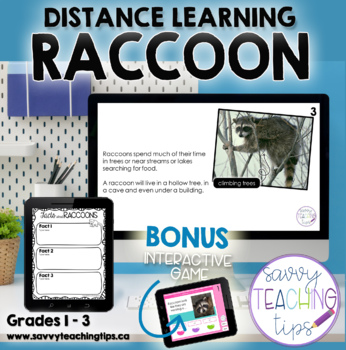 Preview of Distance Learning Animal Research  the RACCOON