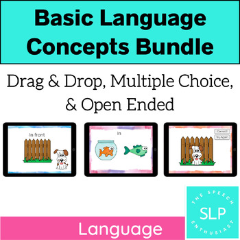 Preview of Basic Language Concept: 3 DECKS BOOM Learning BUNDLE