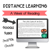 Distance Learning Digital Reading